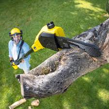 Best Leaf Removal Services  in Genoa City, WI